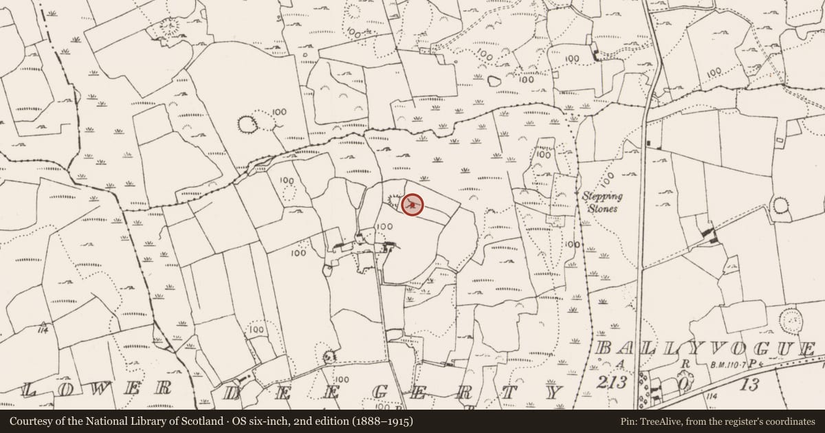 Ordnance Survey six-inch map, 2nd edition (1888–1915) covering the location of Ringfort - rath, Deegerty, County Limerick, with a pin at the register's coordinates
