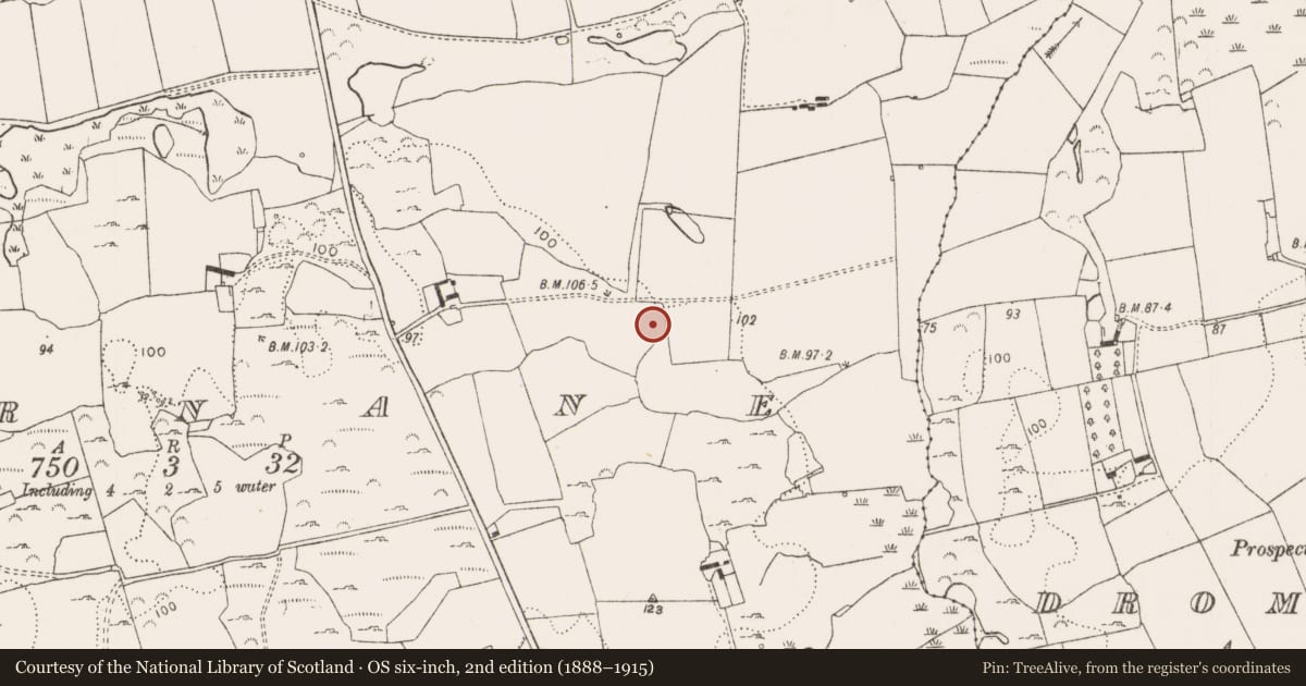 Ordnance Survey six-inch map, 2nd edition (1888–1915) covering the location of Ringfort - rath, Mornane, County Limerick, with a pin at the register's coordinates