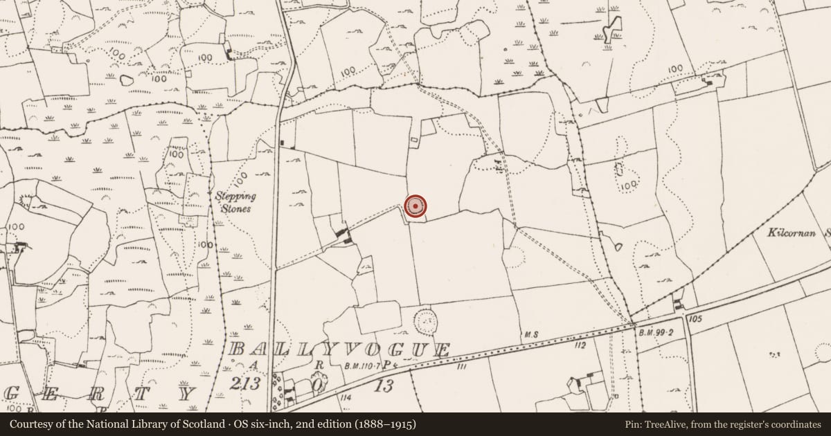 Ordnance Survey six-inch map, 2nd edition (1888–1915) covering the location of Ringfort - rath, Ballyvogue, County Limerick, with a pin at the register's coordinates