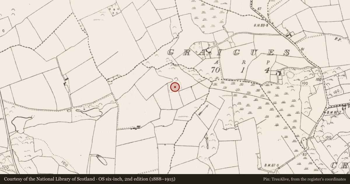 Ordnance Survey six-inch map, 2nd edition (1888–1915) covering the location of Moated site, Mornane, County Limerick, with a pin at the register's coordinates