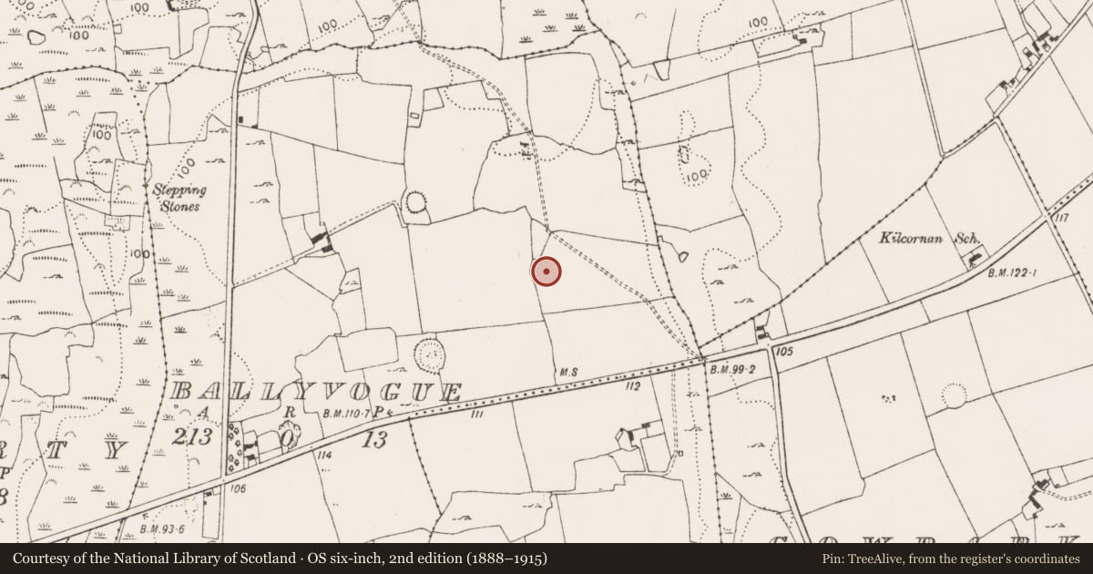Ordnance Survey six-inch map, 2nd edition (1888–1915) covering the location of Ringfort - rath, Ballyvogue, County Limerick, with a pin at the register's coordinates