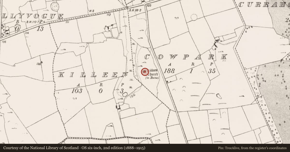 Ordnance Survey six-inch map, 2nd edition (1888–1915) covering the location of Church, Cowpark, County Limerick, with a pin at the register's coordinates