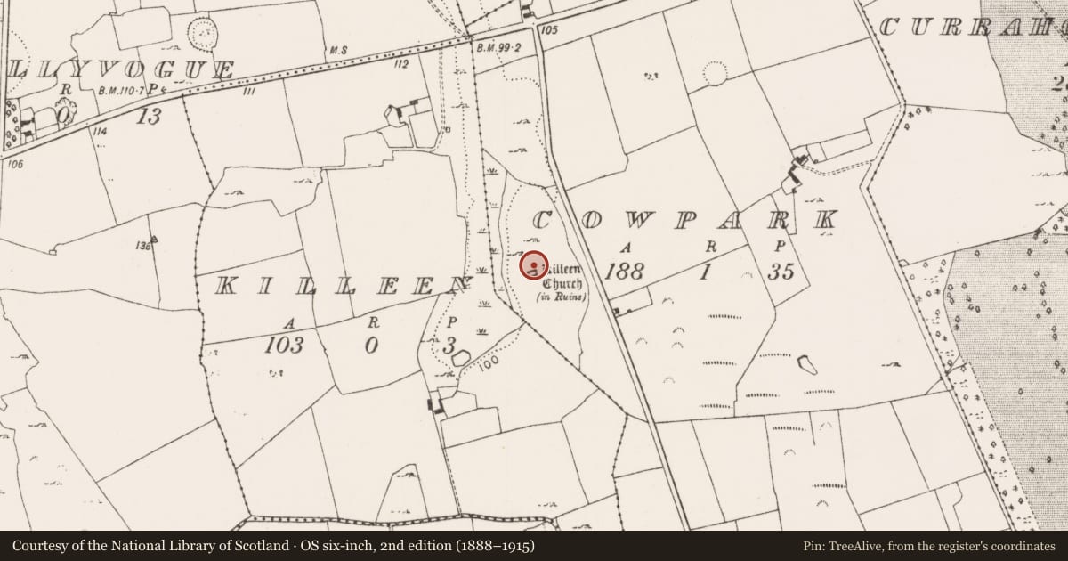 Ordnance Survey six-inch map, 2nd edition (1888–1915) covering the location of Ecclesiastical enclosure, Cowpark, County Limerick, with a pin at the register's coordinates