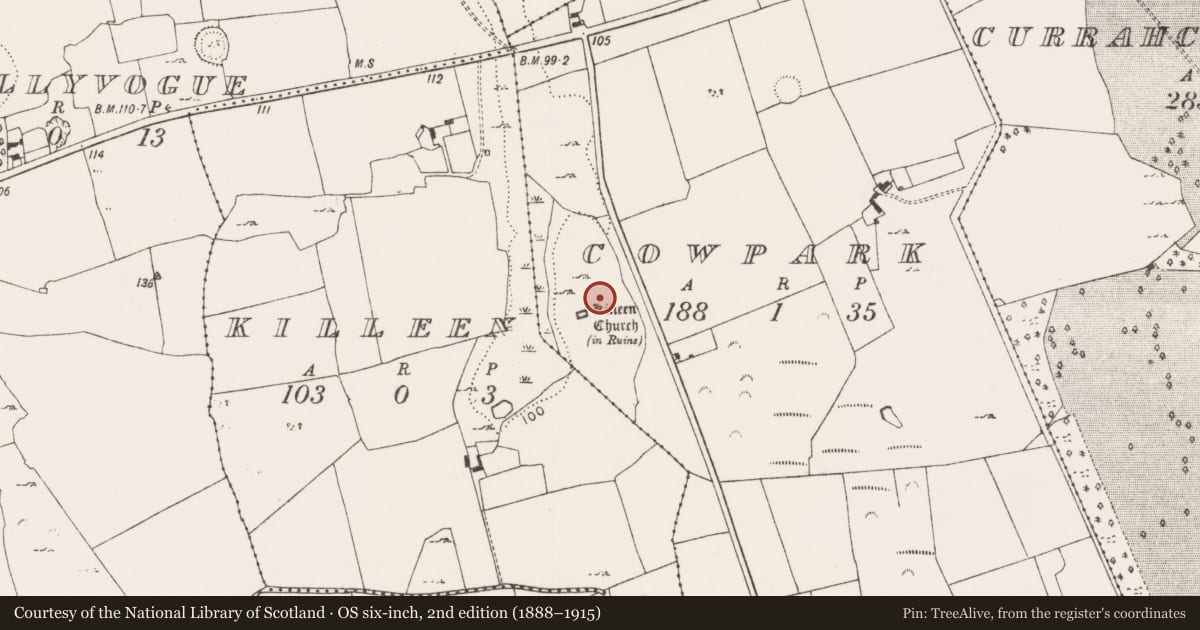 Ordnance Survey six-inch map, 2nd edition (1888–1915) covering the location of Mound, Cowpark, County Limerick, with a pin at the register's coordinates