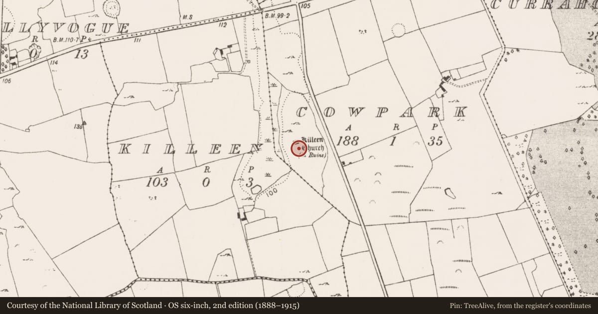 Ordnance Survey six-inch map, 2nd edition (1888–1915) covering the location of Graveyard, Cowpark, County Limerick, with a pin at the register's coordinates