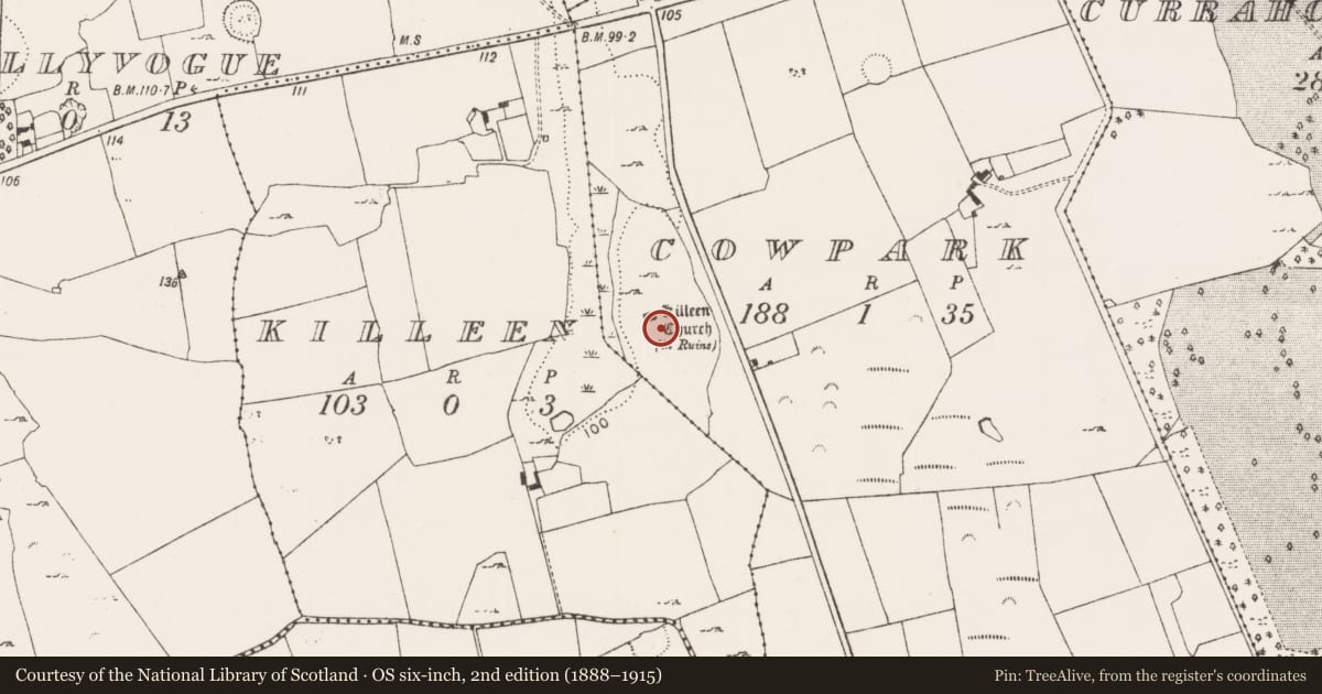 Ordnance Survey six-inch map, 2nd edition (1888–1915) covering the location of Children's burial ground, Cowpark, County Limerick, with a pin at the register's coordinates