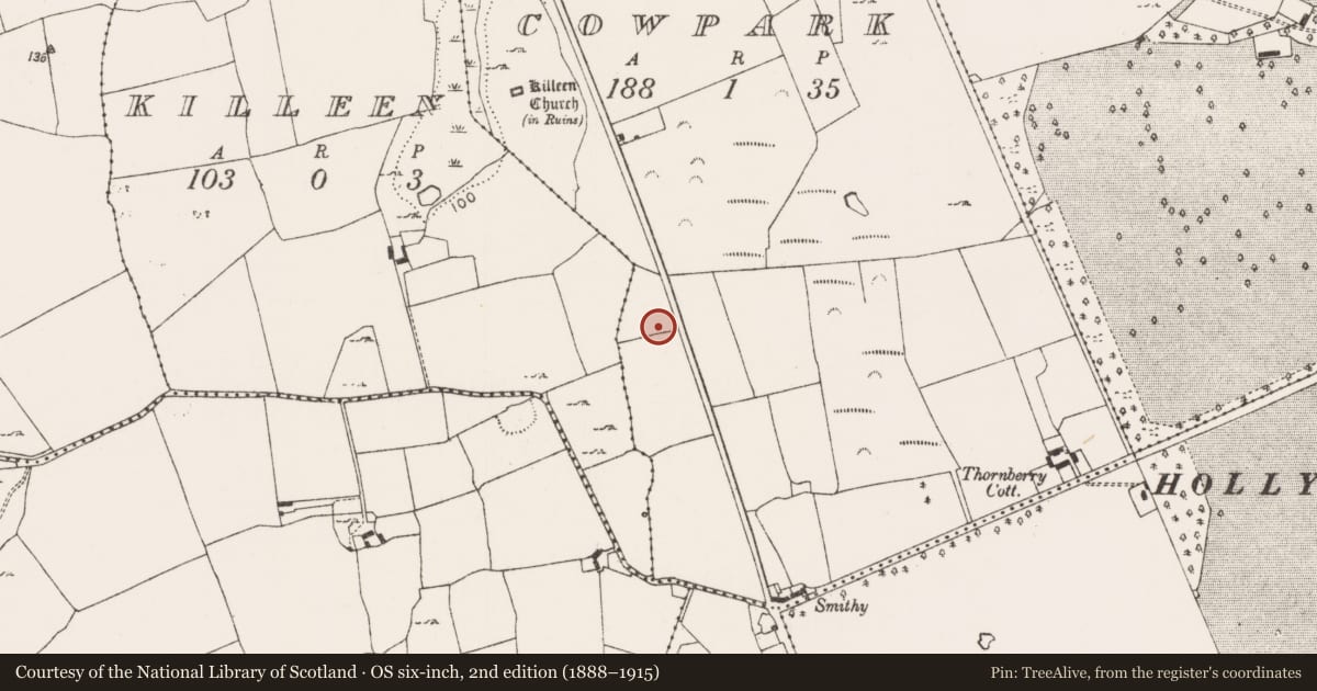 Ordnance Survey six-inch map, 2nd edition (1888–1915) covering the location of Mound, Cowpark, County Limerick, with a pin at the register's coordinates