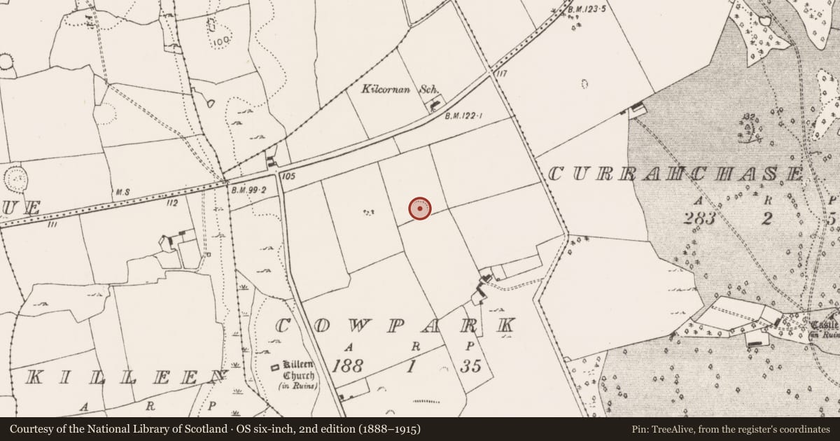 Ordnance Survey six-inch map, 2nd edition (1888–1915) covering the location of Ringfort - rath, Cowpark, County Limerick, with a pin at the register's coordinates