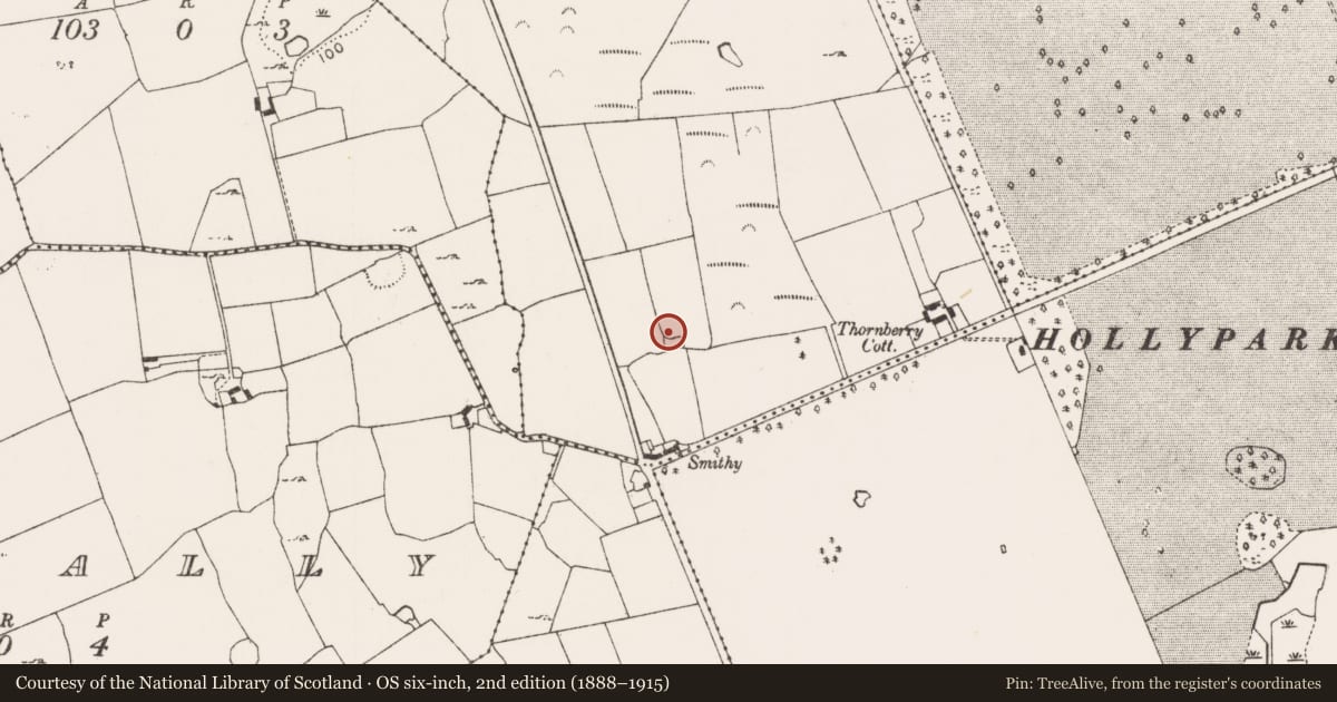 Ordnance Survey six-inch map, 2nd edition (1888–1915) covering the location of Ringfort - rath, Cowpark, County Limerick, with a pin at the register's coordinates