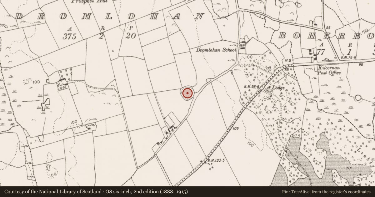 Ordnance Survey six-inch map, 2nd edition (1888–1915) covering the location of Ringfort - rath, Dromlohan, County Limerick, with a pin at the register's coordinates
