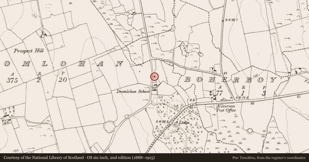 Ordnance Survey six-inch map, 2nd edition (1888–1915) covering the location of Burial ground, Dromlohan, County Limerick, with a pin at the register's coordinates
