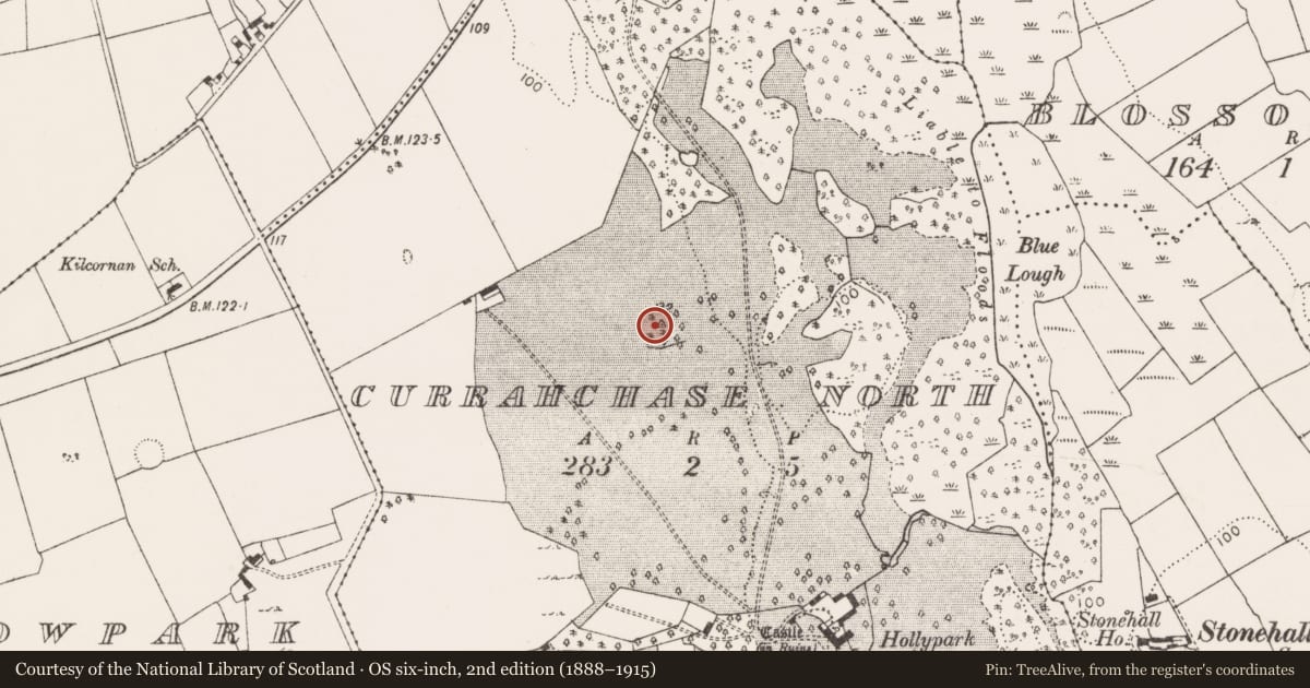 Ordnance Survey six-inch map, 2nd edition (1888–1915) covering the location of Enclosure, Currahchase North, County Limerick, with a pin at the register's coordinates