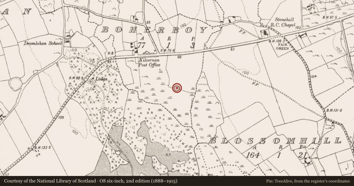 Ordnance Survey six-inch map, 2nd edition (1888–1915) covering the location of Ringfort - rath, Boherboy, County Limerick, with a pin at the register's coordinates