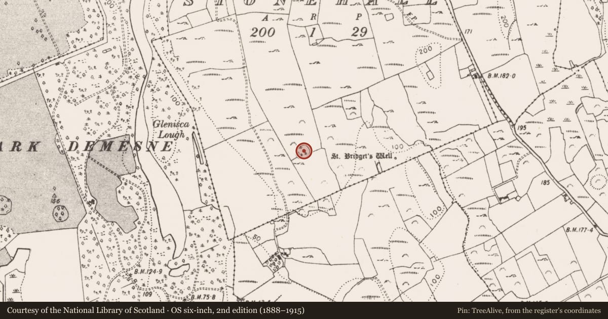 Ordnance Survey six-inch map, 2nd edition (1888–1915) covering the location of Enclosure, Stonehall, County Limerick, with a pin at the register's coordinates