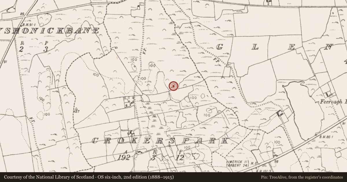 Ordnance Survey six-inch map, 2nd edition (1888–1915) covering the location of Ringfort - rath, Croker'S Park, County Limerick, with a pin at the register's coordinates