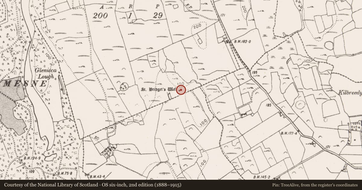Ordnance Survey six-inch map, 2nd edition (1888–1915) covering the location of Ritual site - holy well, Stonehall, County Limerick, with a pin at the register's coordinates