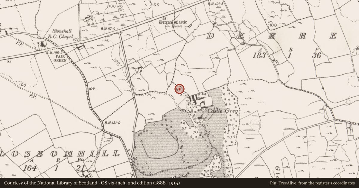 Ordnance Survey six-inch map, 2nd edition (1888–1915) covering the location of Ringfort - cashel, Castlegrey, County Limerick, with a pin at the register's coordinates