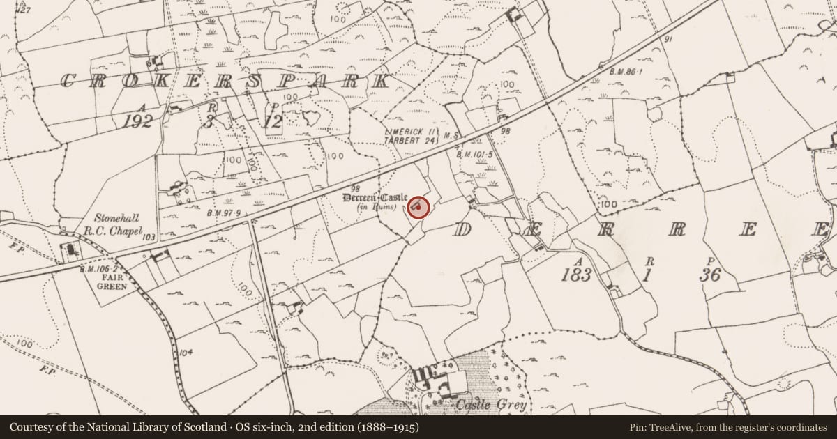 Ordnance Survey six-inch map, 2nd edition (1888–1915) covering the location of Castle - tower house, Derreen, County Limerick, with a pin at the register's coordinates