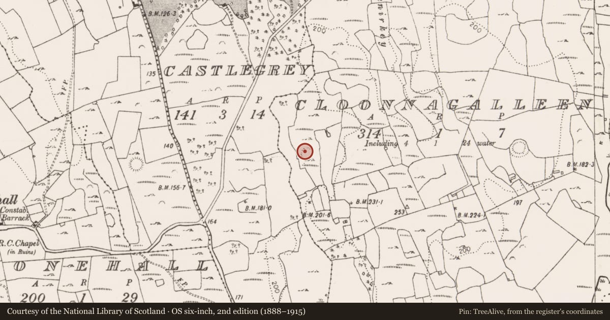 Ordnance Survey six-inch map, 2nd edition (1888–1915) covering the location of Ringfort - cashel, Cloonnagalleen, County Limerick, with a pin at the register's coordinates