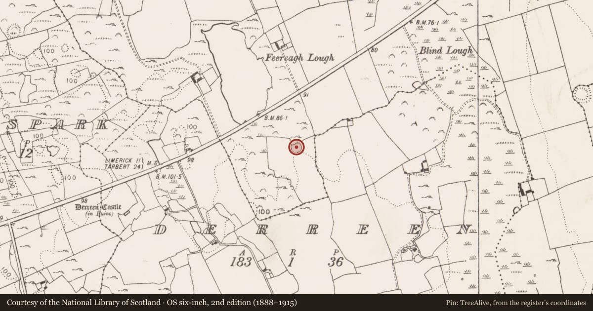 Ordnance Survey six-inch map, 2nd edition (1888–1915) covering the location of Ringfort - rath, Glennameade, County Limerick, with a pin at the register's coordinates