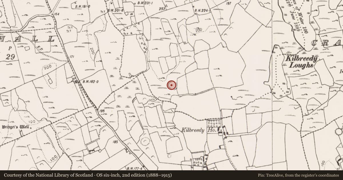 Ordnance Survey six-inch map, 2nd edition (1888–1915) covering the location of Ringfort - rath, Cloonnagalleen, County Limerick, with a pin at the register's coordinates