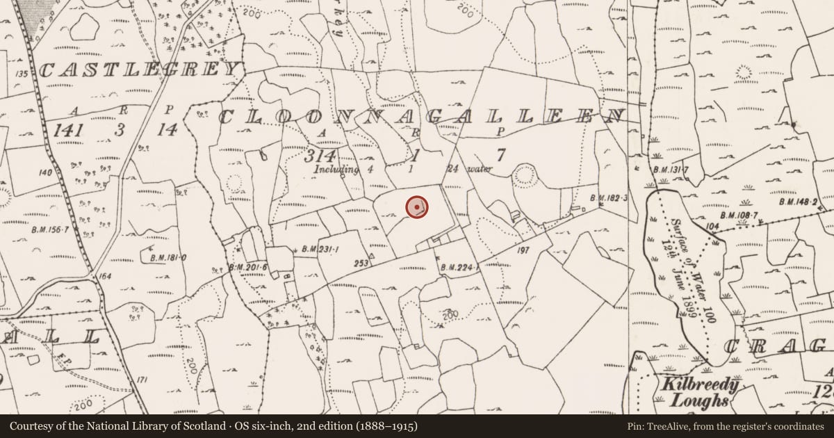 Ordnance Survey six-inch map, 2nd edition (1888–1915) covering the location of Ringfort - rath, Cloonnagalleen, County Limerick, with a pin at the register's coordinates