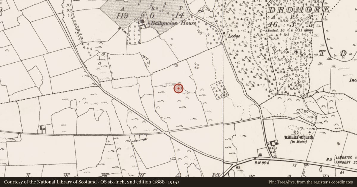 Ordnance Survey six-inch map, 2nd edition (1888–1915) covering the location of Ringfort - rath, Glennameade, County Limerick, with a pin at the register's coordinates