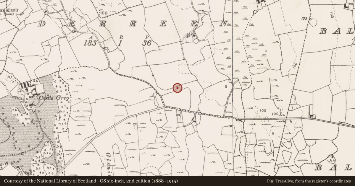 Ordnance Survey six-inch map, 2nd edition (1888–1915) covering the location of Ringfort - rath, Derreen, County Limerick, with a pin at the register's coordinates