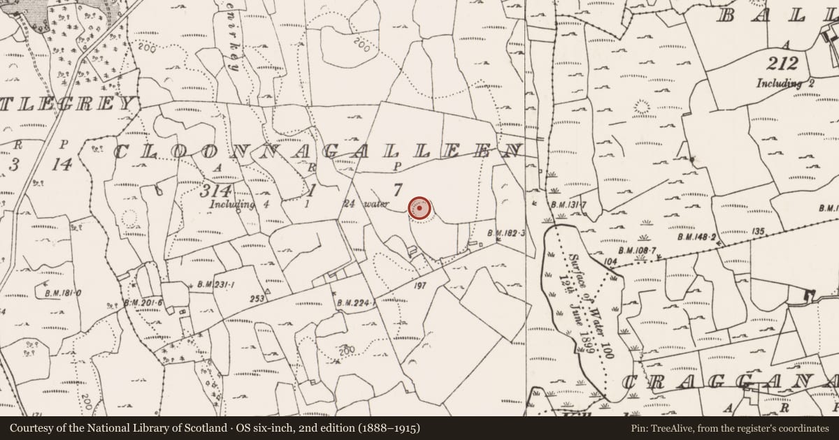Ordnance Survey six-inch map, 2nd edition (1888–1915) covering the location of Ringfort - rath, Cloonnagalleen, County Limerick, with a pin at the register's coordinates