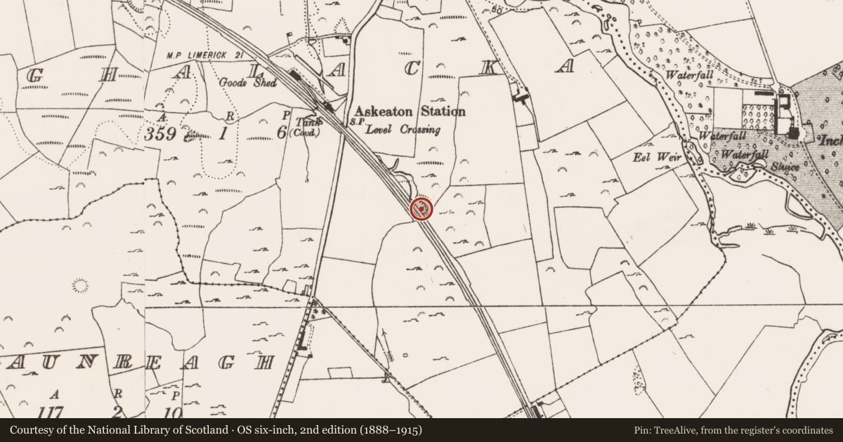 Ordnance Survey six-inch map, 2nd edition (1888–1915) covering the location of Ringfort - rath, Aghalacka, County Limerick, with a pin at the register's coordinates