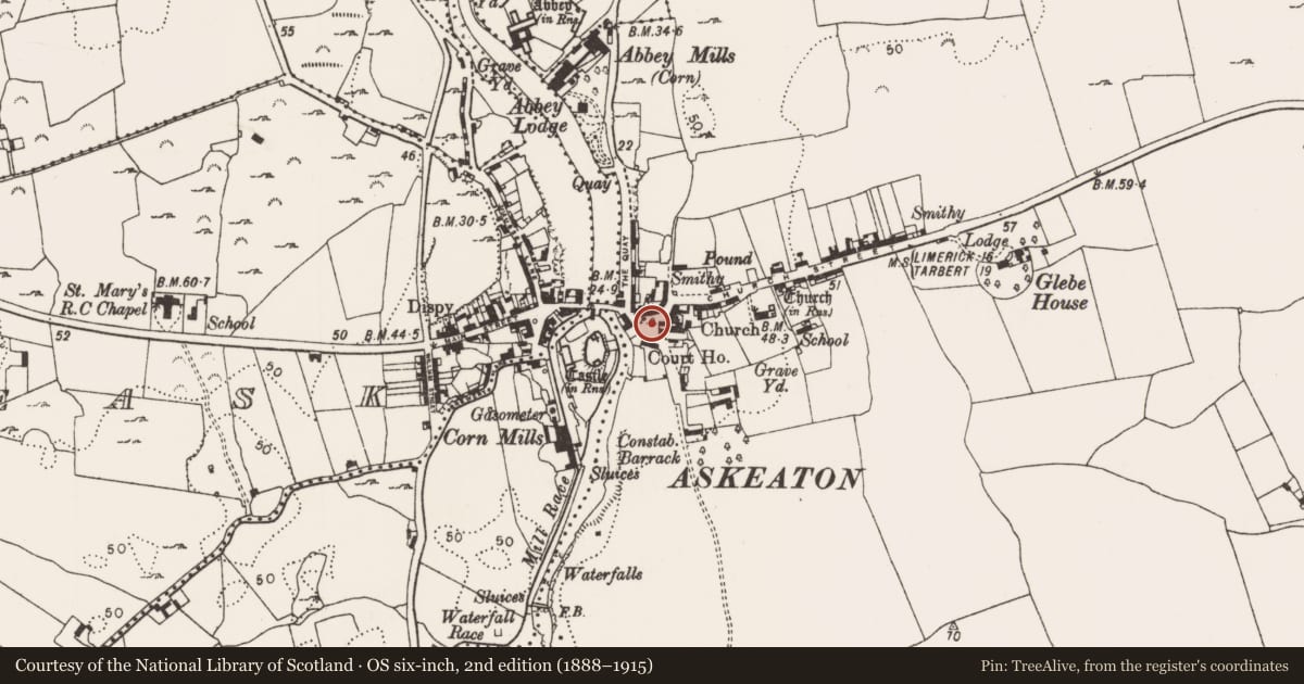 Ordnance Survey six-inch map, 2nd edition (1888–1915) covering the location of Historic town, County Limerick, with a pin at the register's coordinates