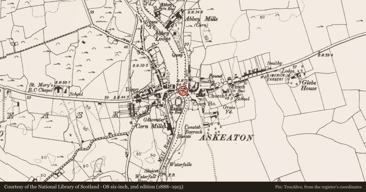 Ordnance Survey six-inch map, 2nd edition (1888–1915) covering the location of Bridge, County Limerick, with a pin at the register's coordinates