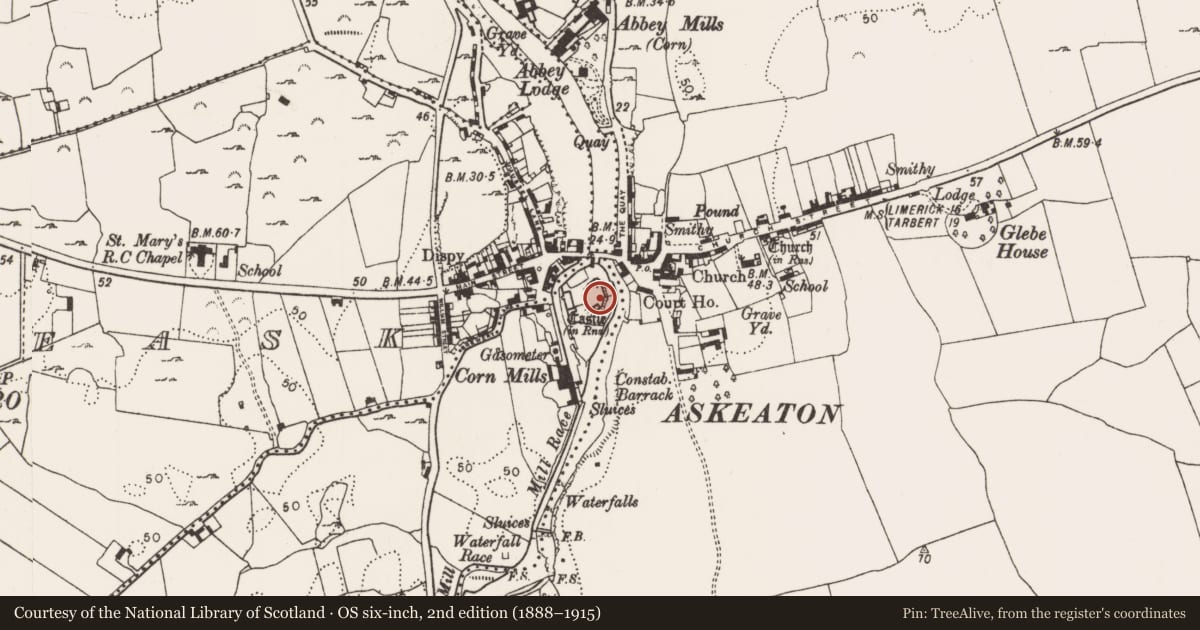 Ordnance Survey six-inch map, 2nd edition (1888–1915) covering the location of Castle - Anglo-Norman masonry castle, Aghalacka, County Limerick, with a pin at the register's coordinates