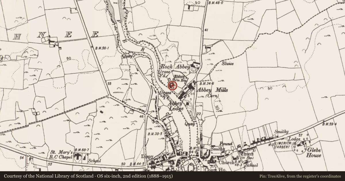 Ordnance Survey six-inch map, 2nd edition (1888–1915) covering the location of Religious house - Franciscan friars, Moig South, County Limerick, with a pin at the register's coordinates