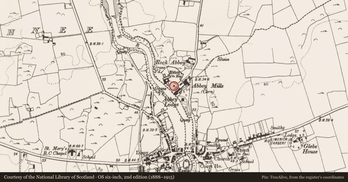 Ordnance Survey six-inch map, 2nd edition (1888–1915) covering the location of Graveyard, Moig South, County Limerick, with a pin at the register's coordinates