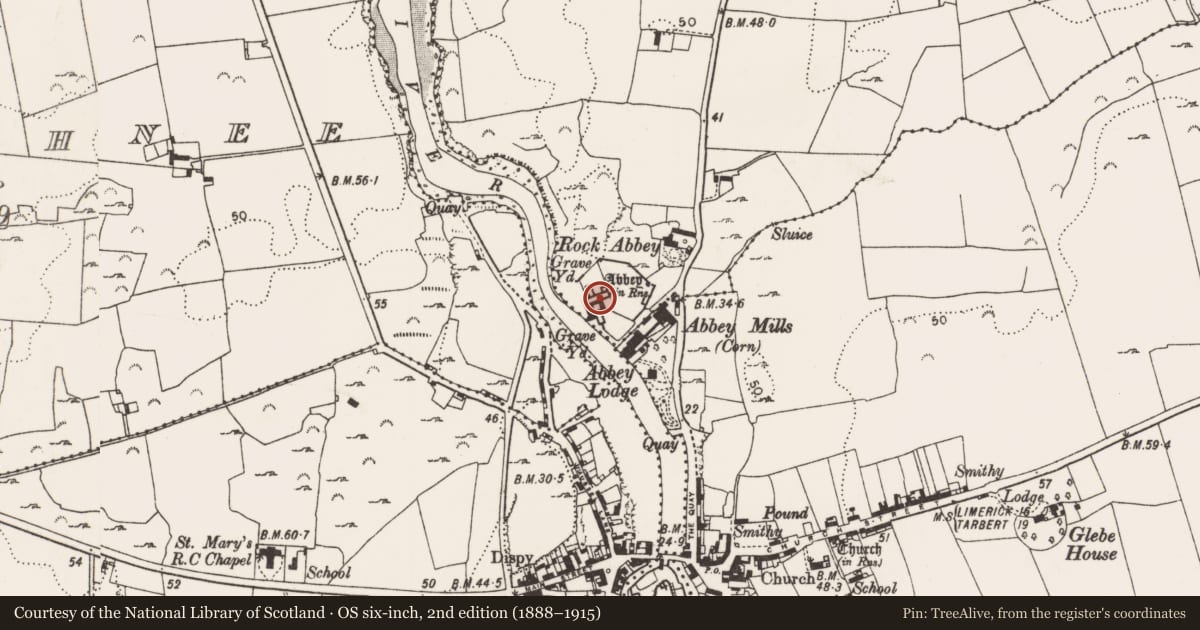 Ordnance Survey six-inch map, 2nd edition (1888–1915) covering the location of Graveslab, Moig South, County Limerick, with a pin at the register's coordinates