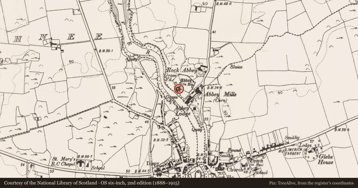 Ordnance Survey six-inch map, 2nd edition (1888–1915) covering the location of Sundial, Moig South, County Limerick, with a pin at the register's coordinates