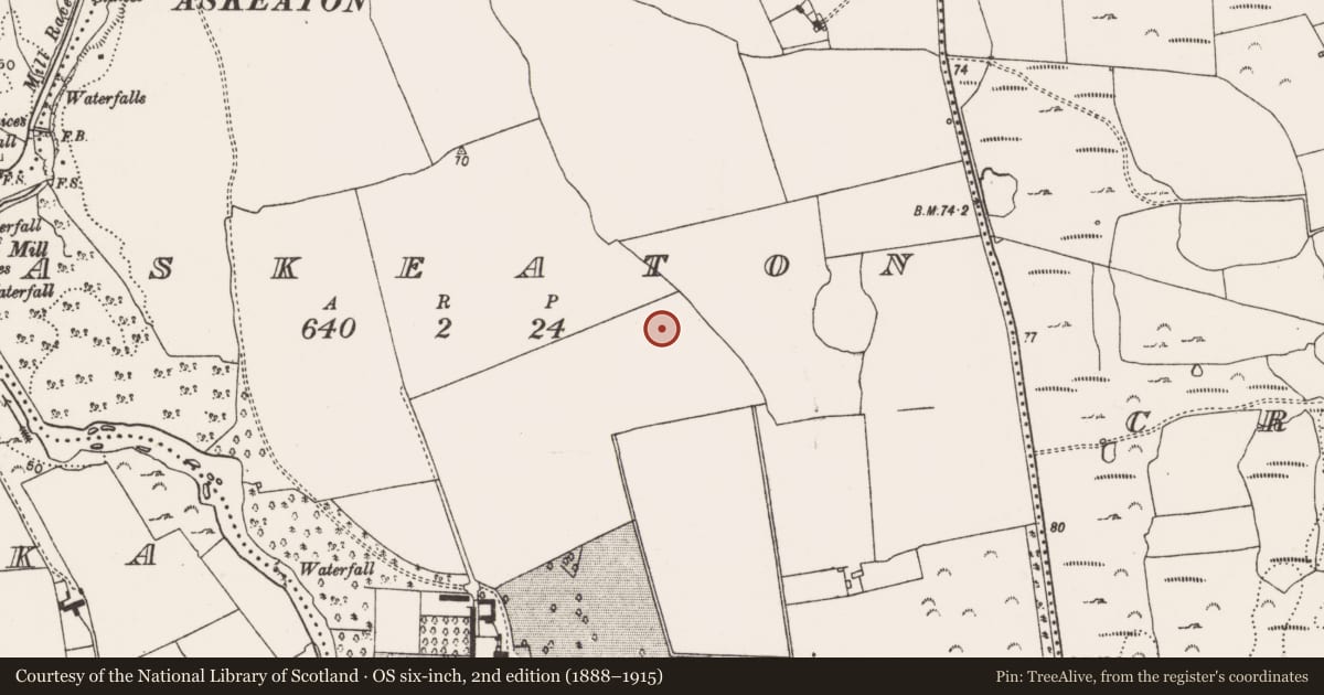Ordnance Survey six-inch map, 2nd edition (1888–1915) covering the location of Ringfort - rath, Askeaton, County Limerick, with a pin at the register's coordinates