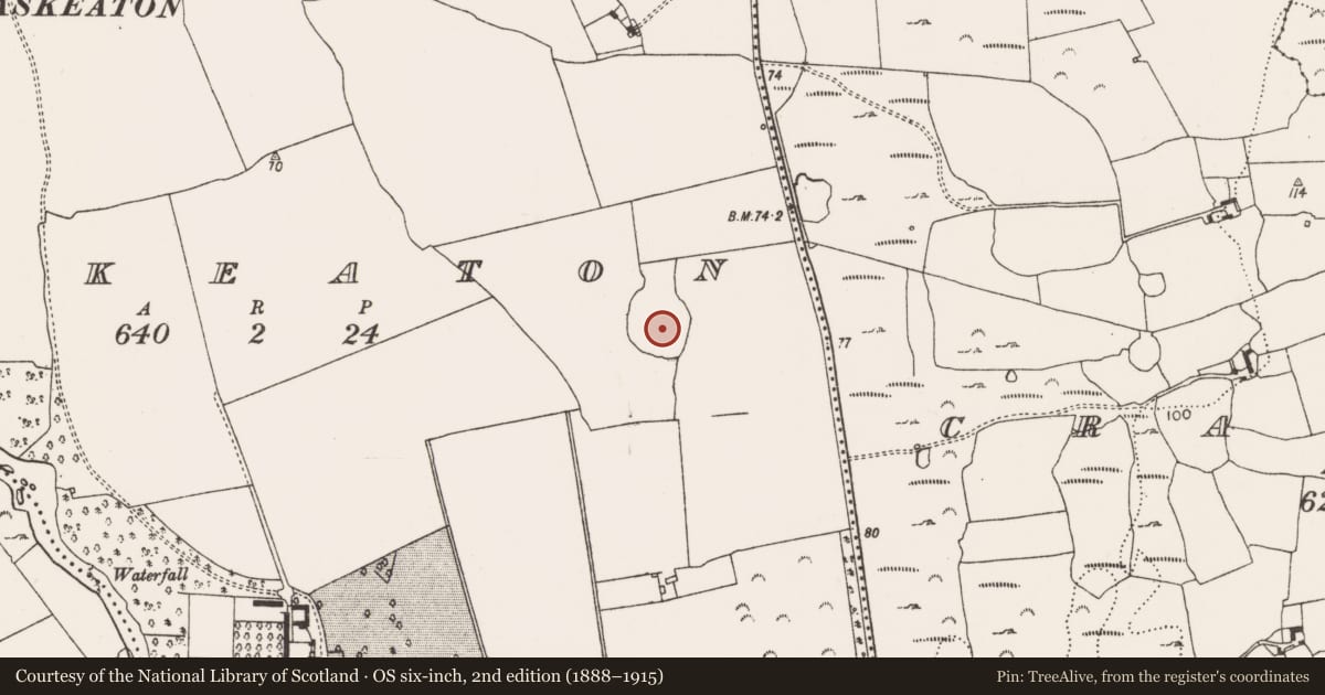 Ordnance Survey six-inch map, 2nd edition (1888–1915) covering the location of Enclosure, Askeaton, County Limerick, with a pin at the register's coordinates