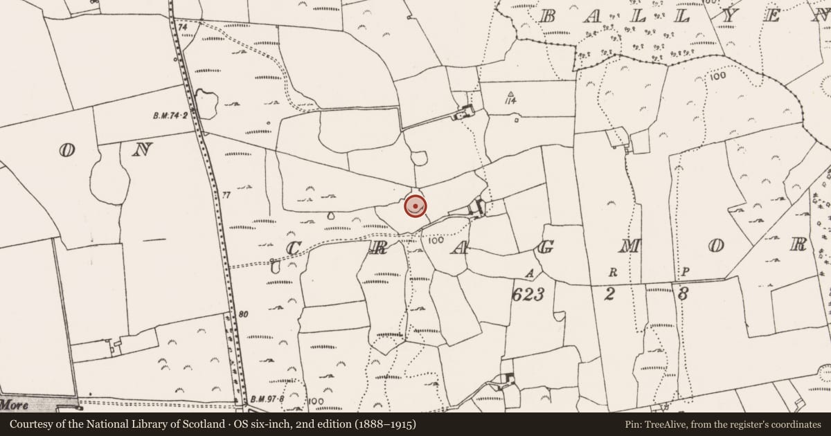 Ordnance Survey six-inch map, 2nd edition (1888–1915) covering the location of Ringfort - cashel, Cragmore, County Limerick, with a pin at the register's coordinates