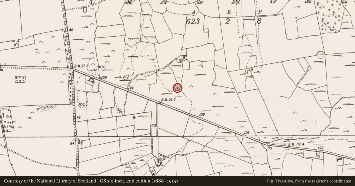 Ordnance Survey six-inch map, 2nd edition (1888–1915) covering the location of Ringfort - rath, Cragmore, County Limerick, with a pin at the register's coordinates