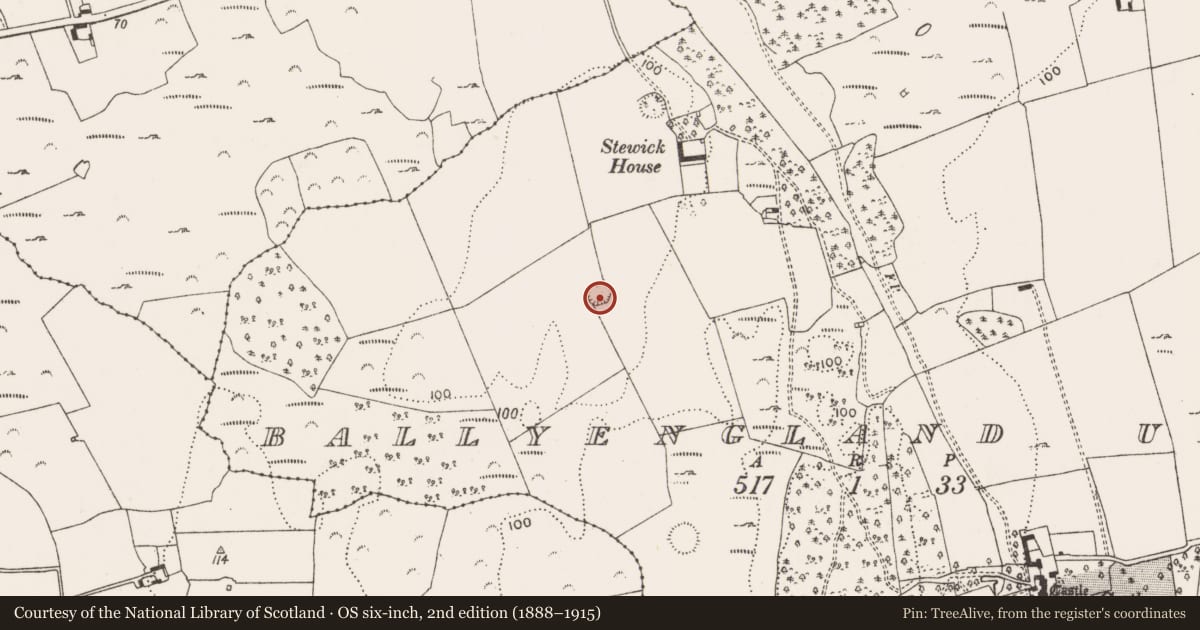 Ordnance Survey six-inch map, 2nd edition (1888–1915) covering the location of Ringfort - rath, Ballyengland Upper, County Limerick, with a pin at the register's coordinates
