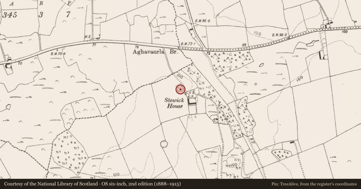 Ordnance Survey six-inch map, 2nd edition (1888–1915) covering the location of Ringfort - rath, Ballyengland Upper, County Limerick, with a pin at the register's coordinates