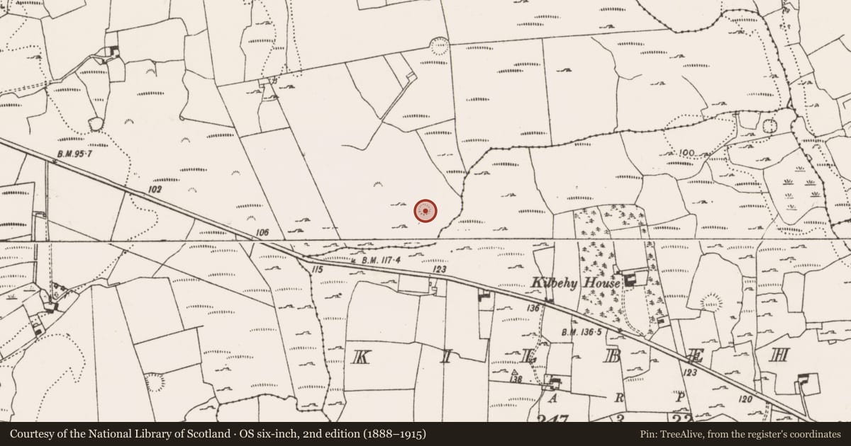 Ordnance Survey six-inch map, 2nd edition (1888–1915) covering the location of Enclosure, Cragmore, County Limerick, with a pin at the register's coordinates