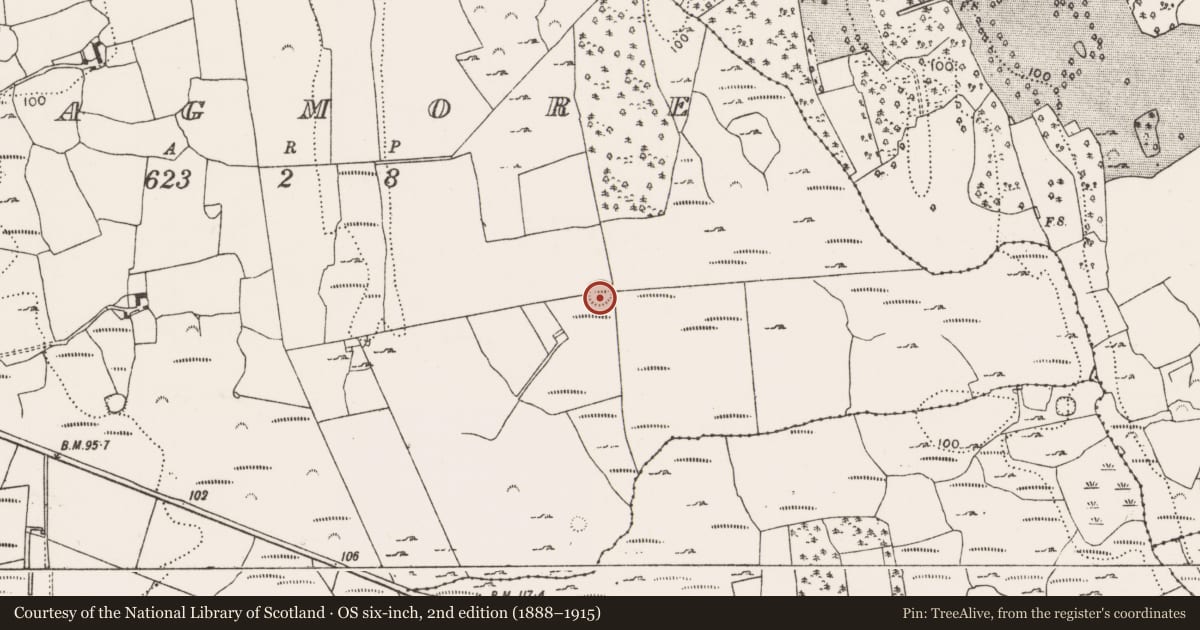 Ordnance Survey six-inch map, 2nd edition (1888–1915) covering the location of Ringfort - rath, Cragmore, County Limerick, with a pin at the register's coordinates