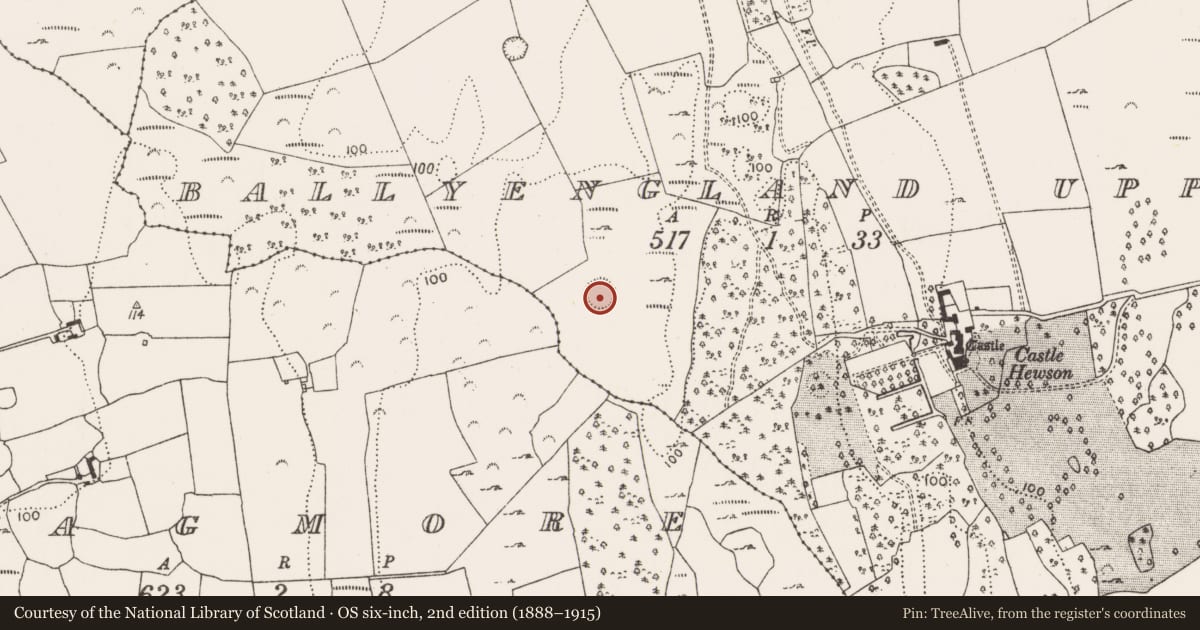 Ordnance Survey six-inch map, 2nd edition (1888–1915) covering the location of Ringfort - rath, Ballyengland Upper, County Limerick, with a pin at the register's coordinates