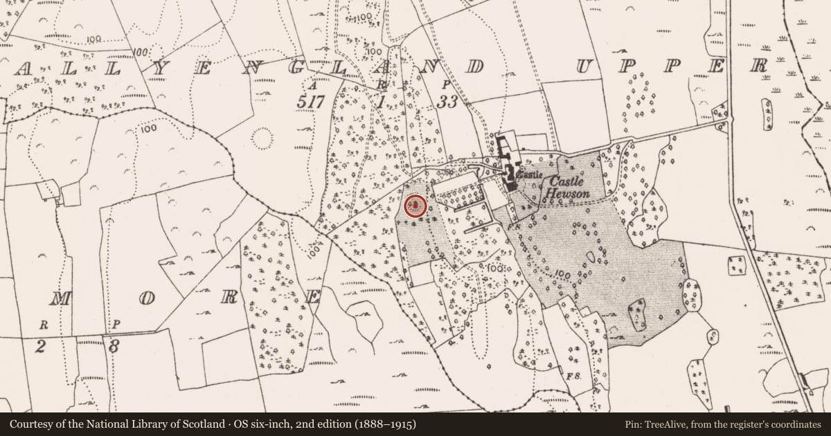 Ordnance Survey six-inch map, 2nd edition (1888–1915) covering the location of Ringfort - rath, Ballyengland Upper, County Limerick, with a pin at the register's coordinates