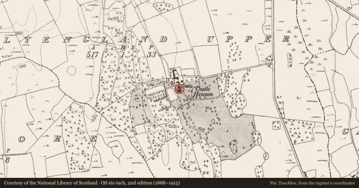 Ordnance Survey six-inch map, 2nd edition (1888–1915) covering the location of Castle - tower house, Ballyengland Upper, County Limerick, with a pin at the register's coordinates