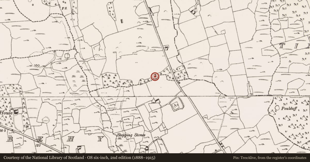 Ordnance Survey six-inch map, 2nd edition (1888–1915) covering the location of Ringfort - rath, Ballyengland Upper, County Limerick, with a pin at the register's coordinates