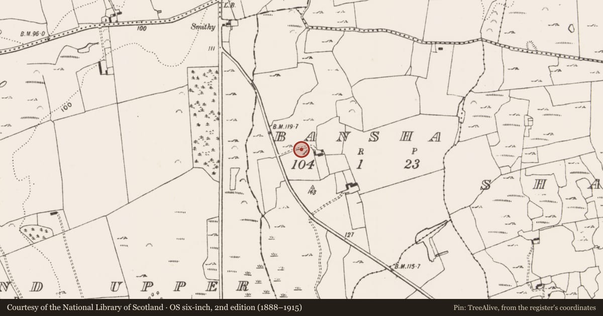 Ordnance Survey six-inch map, 2nd edition (1888–1915) covering the location of Ringfort - rath, Bansha, County Limerick, with a pin at the register's coordinates